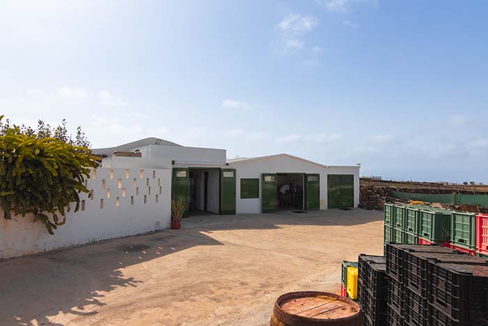 Bodega Auta