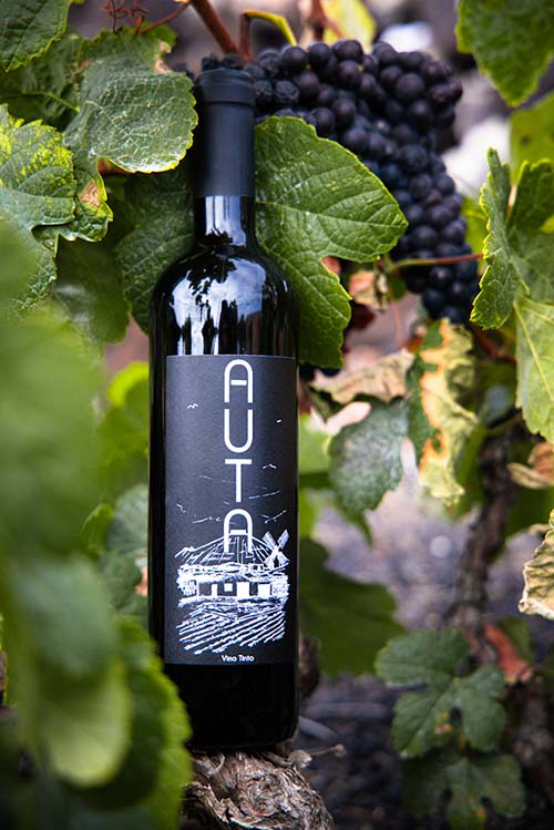 Vino Tinto Auta